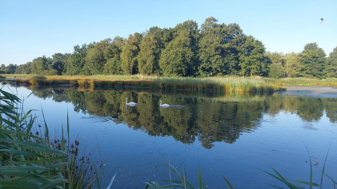 Helle Ferienwohnung In Nettetal Bei Venlo Eksteriør billede