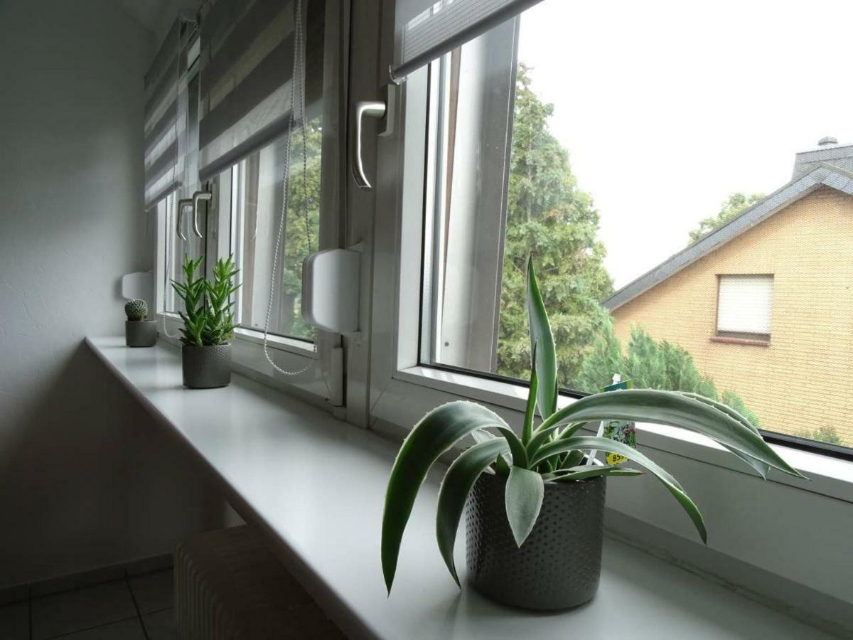 Helle Ferienwohnung In Nettetal Bei Venlo Eksteriør billede